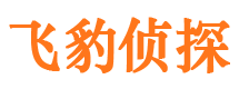 金川出轨调查